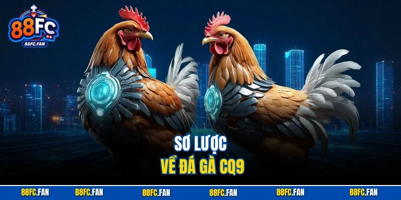 Sơ lược về đá gà CQ9